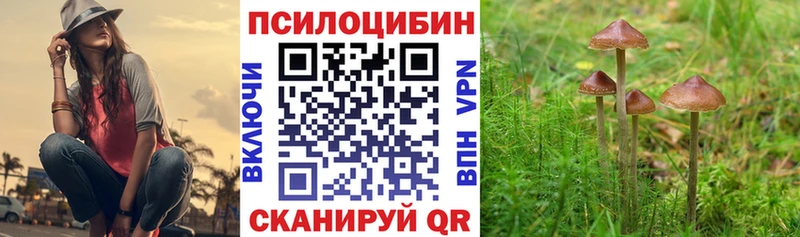 Галлюциногенные грибы MAGIC MUSHROOMS купить Западная Двина